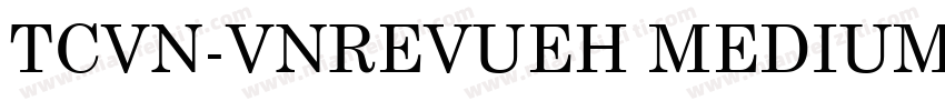 TCVN-VnRevueH Medium字体转换